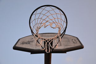 华体会在线登录-NBA联盟与高校篮球合作开发机制研究，大学篮球联盟叫什么