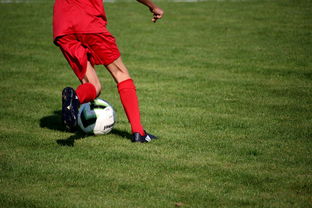 华体会app注册-意甲裁判语义辅助判罚系统提升比赛公平性研究，意甲裁判球衣赞助商