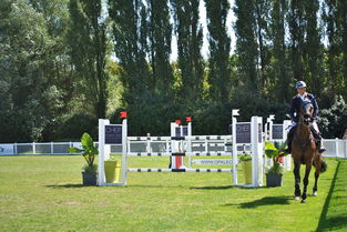 华体会在线登录-法国橄榄球赛事的全球化布局迎来新机遇,法国橄榄球联赛