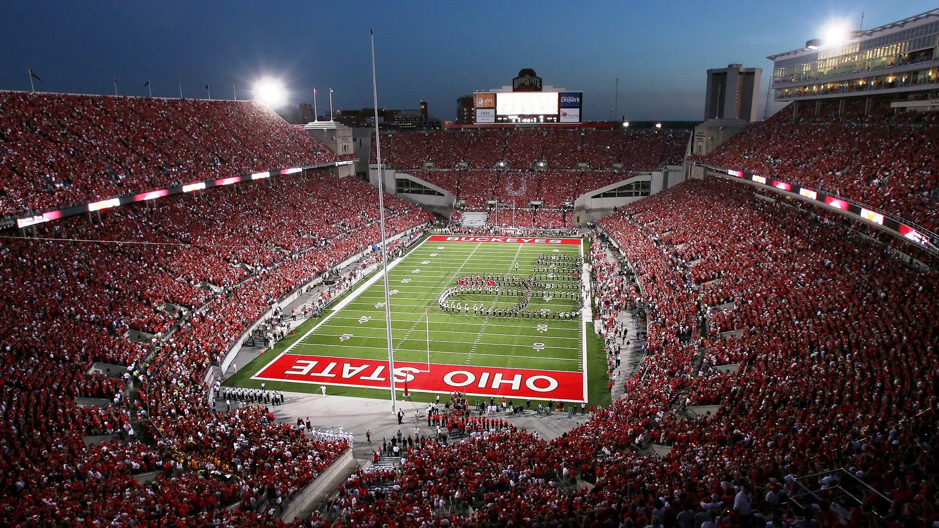 世界杯：“亲子专区”引导儿童文明观赛 成为新亮点